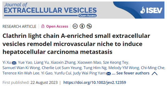 JEV：富含网格蛋白轻链A的EV重塑微血管生态位诱导肝细胞癌转移