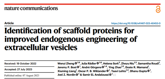 Nat Commun：鉴定支架蛋白以改善细胞外囊泡的内源工程化