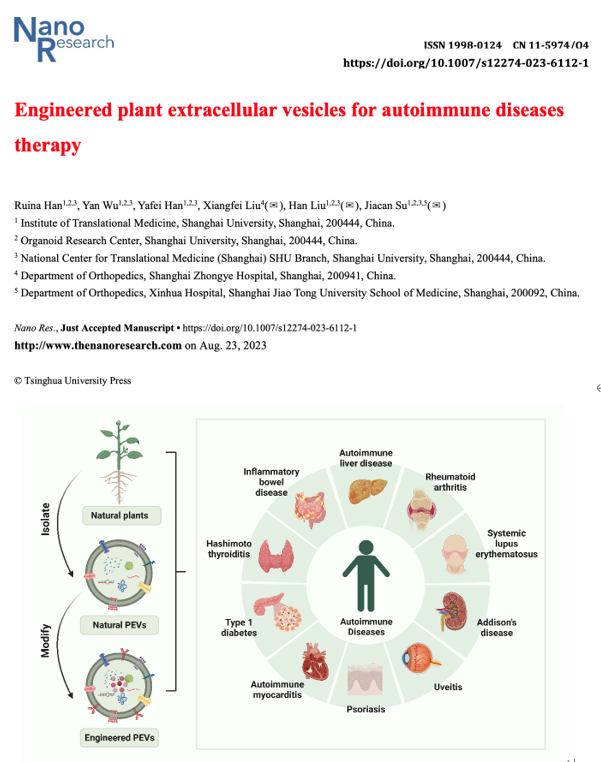 Nano Research｜上海大学转化医学研究院/上海交大附属新华医院骨科综述：工程化植物细胞外囊泡用于自身免疫性疾病的治疗