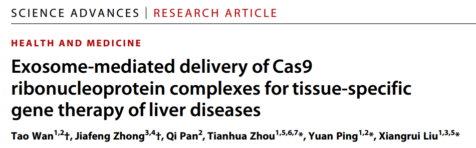 外泌体递送CRISPR/Cas9 RNP用于肝脏靶向的疾病治疗