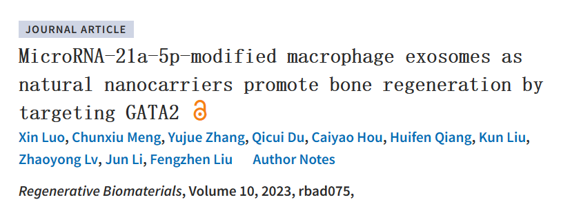 Regenerative Biomaterials|山东第一医科大学附属聊城医院/山东省聊城市人民医院刘凤珍团队联合刘琨团队: Microrna -21a-5p修饰的巨噬细胞外泌体作为天然纳米载体通过靶向GATA2促进骨再生