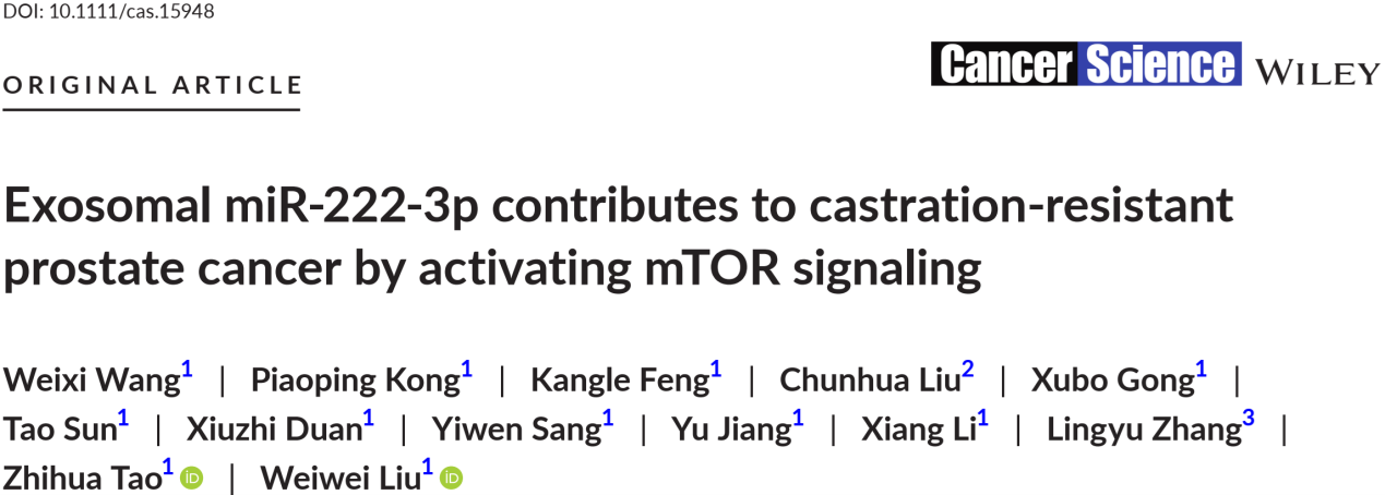 Cancer Science|浙大二院临床检验中心陶志华/刘伟伟：外泌体通过激活mTOR信号通路促进去势抵抗性前列腺癌进展