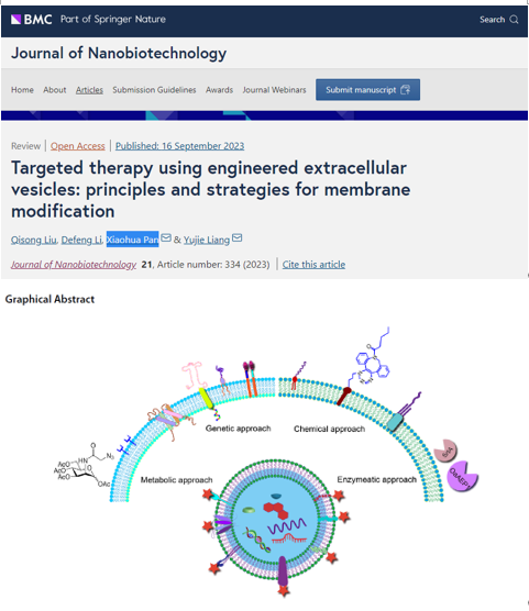 J Nanobiotechnol | 深圳市宝安区人民医院潘晓华教授团队：外泌体的脂质双层膜靶向修饰的原理和策略
