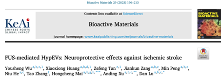 Bioact Mater | 暨南大学附属第一医院徐安定/逯丹团队：FUS介导的缺氧神经元外泌体对缺血性中风的神经保护作用