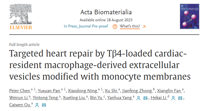 Acta Biomaterialia丨南方医科大学区彩文 ：单核细胞膜修饰的负载Tβ4的心脏巨噬细胞来源的细胞外囊泡靶向心脏修复