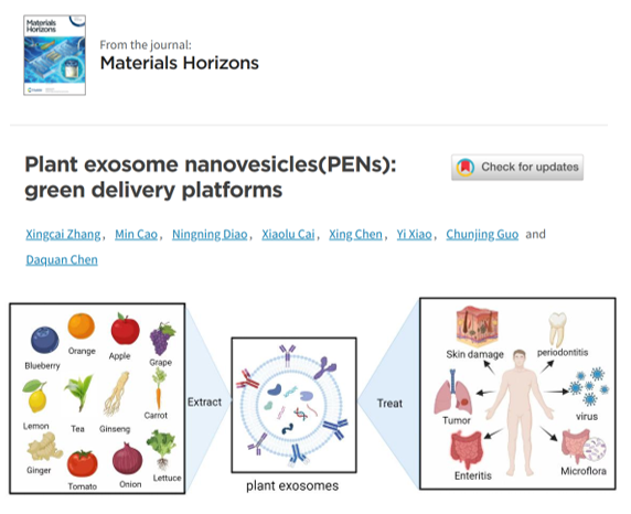 Materials Horizons|烟台大学陈大全、哈佛大学张兴才综述: 植物外泌体样纳米囊泡：新型绿色递送平台