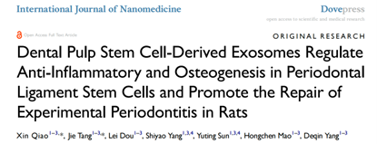 Int J Nanomedicine | 重庆医科大学附属口腔医院杨德琴课题组：牙髓干细胞衍生的外泌体促进牙周炎的修复