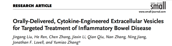 Small | 天津大学张育淼团队:口服外泌体递送蛋白质系统用于治疗炎症性肠病