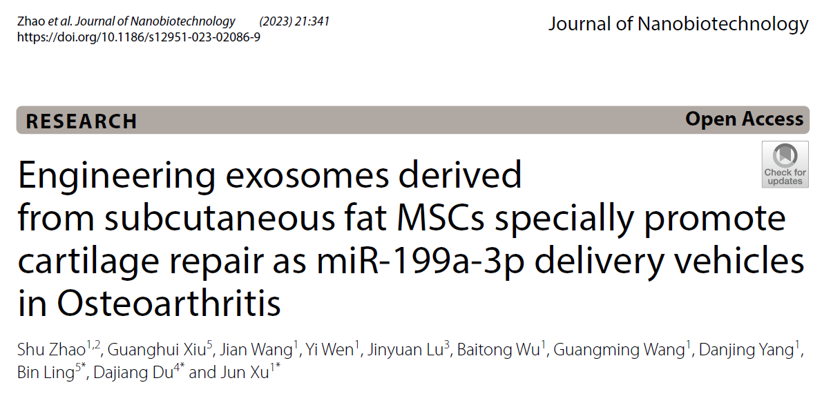 Journal of Nanobiotechnology | 脂肪间充质干细胞来源的外泌体靶向软骨细胞递送小核酸药物治疗骨关节炎