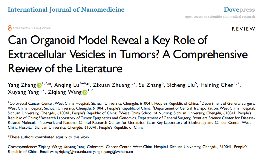Int J Nanomedicine | 四川大学华西医院王自强团队: 类器官与肿瘤细胞外囊泡的交互研究进展