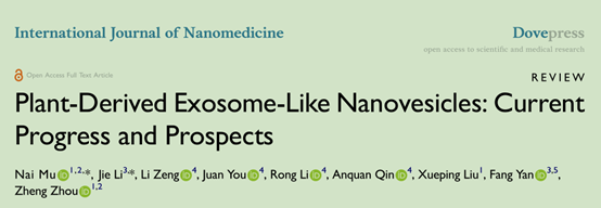 International Journal of Nanomedicine | 植物衍生外泌体类纳米囊泡研究进展与展望
