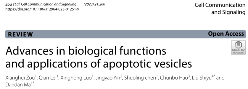 Cell Commun Signal | 南方医科大口腔医院麻丹丹/空军军医大口腔医院刘世宇：凋亡囊泡的生物学功能及应用研究进展
