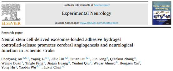 Exp Neurol | 南方医科大学陈陆馗/吴耀彬团队：粘附性水凝胶控制缓释神经干细胞来源外泌体促进神经功能恢复及血管新生