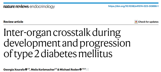 Nat Rev Endocrinol：2型糖尿病发生和进展过程中的器官间串扰