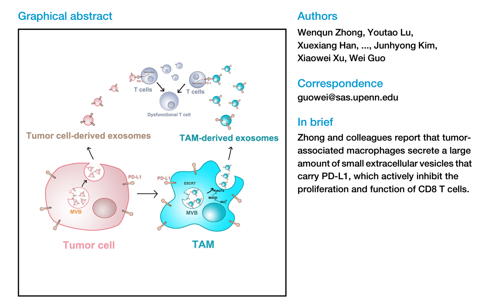 Cell Reports|肿瘤细胞通过增加肿瘤相关巨噬细胞衍生的外泌体来对抗抗肿瘤免疫