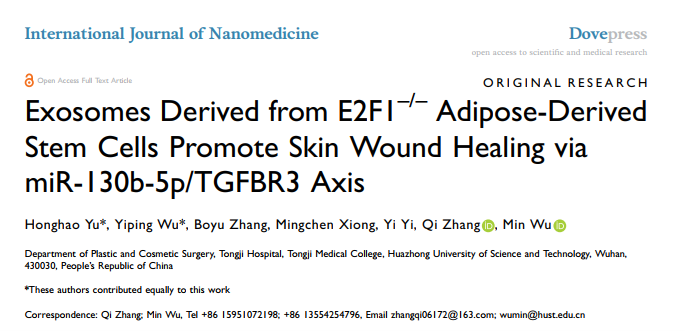 Int J Nanomedicine |华科同济医院吴毅平/吴敏/张奇/余鸿浩：E2F1缺失的脂肪干细胞外泌体促进皮肤伤口愈合