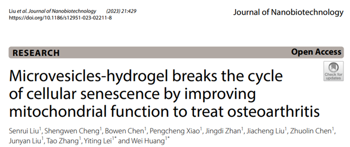 J Nanobiotechnology|重庆医科大学附一院黄伟:搭载微囊泡水凝胶打破细胞衰老的恶性循环改善线粒体功能治疗骨关节炎