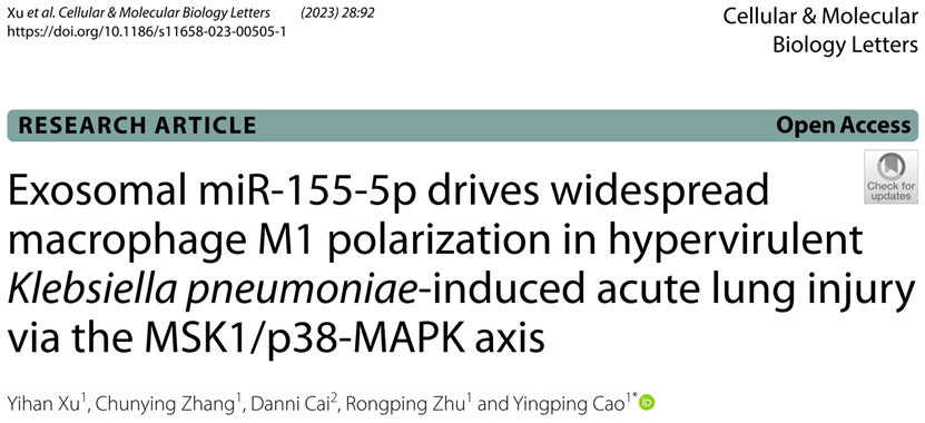 Cell Mol Biol Lett|福建医科大附属协和医院曹颖平：外泌体miR-155广泛激活hvKp相关急性肺损伤的巨噬细胞