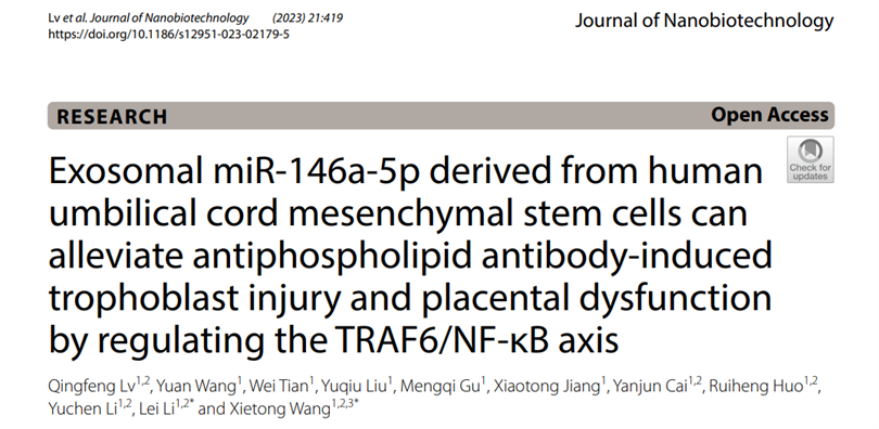 J Nanobiotechnol|山东省立医院王谢桐/李磊：hucMSC-exos减轻抗磷脂抗体诱导的滋养层损伤和胎盘功能障碍