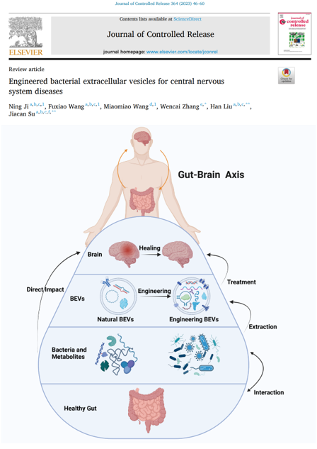 Journal of Controlled Release | 苏佳灿/刘晗/张文财：工程化细菌外囊泡用于中枢神经系统疾病的治疗