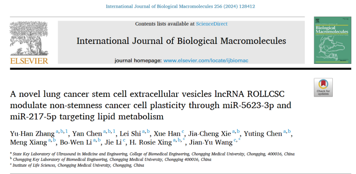 Int J Biol Macromol|重庆医科大邢若曦/王健宇: 肺癌干细胞外泌体增强脂质代谢促进非干性肺癌细胞转移的机制研究