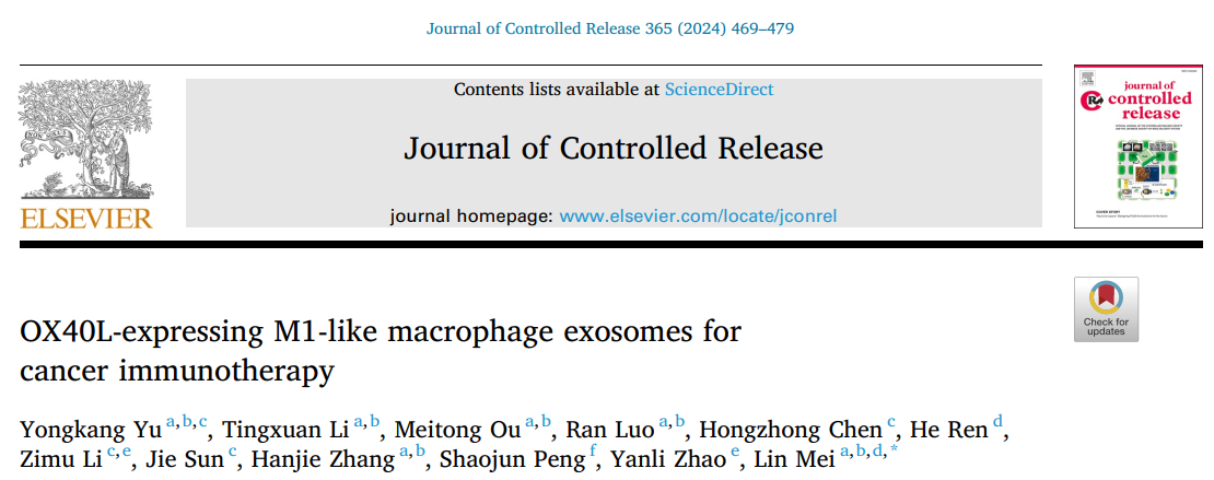 Journal of Controlled Release | 表达OX40L的M1样巨噬细胞源外泌体用于癌症免疫治疗