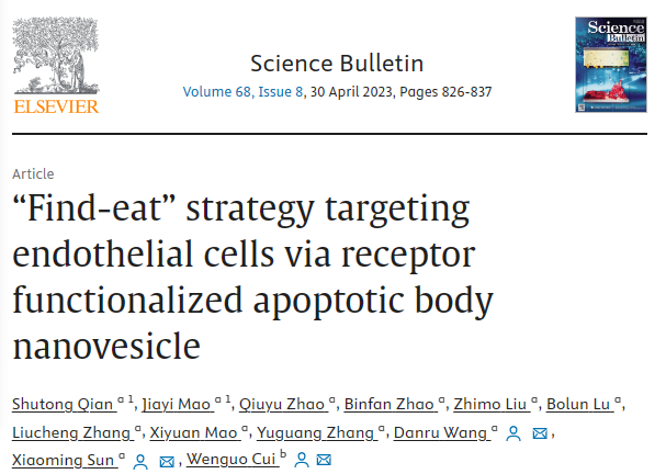 Science Bulletin | 上海交通大学孙晓明博士团队在工程化凋亡小体促进微血管再生研究获新成果