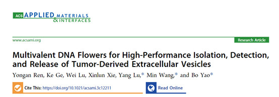 ACS Appl Mater Interfaces|浙大姚波/王敏/北大医疗鲁中医院路阳：DNA纳米花用于高效分离检测肿瘤EVs