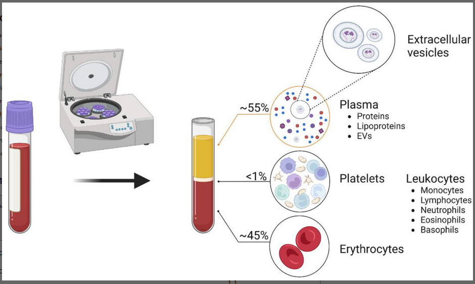 JEV丨一份研究血浆/血清细胞外囊泡的初学者指南
