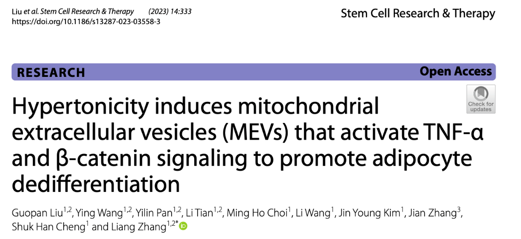 Stem Cell Res Ther | 香港城市大学张亮：高渗透压诱导产生的线粒体细胞外囊泡（MEVs）促进脂肪细胞去分化