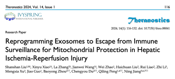 Theranostics丨重庆医科大学基础医学院蒋宁/彭奇龄/王建为：可逃避免疫监视的重编程外泌体保护线粒体缓解肝缺血再灌注损伤