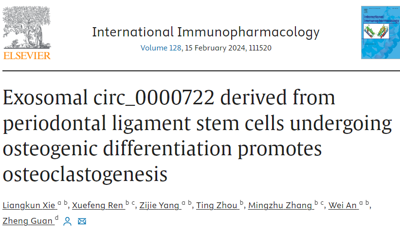 Int Immunopharmacol | 昆明医科大学管峥/谢亮焜科研团队：成骨分化过程中牙周膜干细胞外泌体促进破骨细胞生成