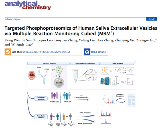 Anal Chem | 普渡大学陶纬国/东南大学顾忠泽在微量唾液细胞外囊泡（EVs）磷酸化蛋白的定量分析研究方面取得新进展