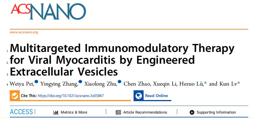 ACS Nano | 皖南医学院吕坤/蚌埠医科大学吕合作团队共同揭示了多靶点免疫调节的工程化细胞外囊泡治疗病毒性心肌炎的作用