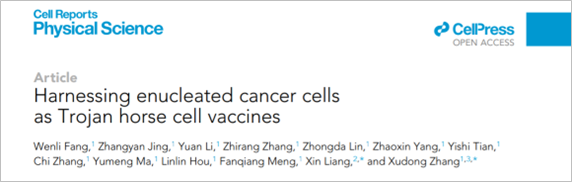 Cell Reports Physical Science|中山大学张旭东：细菌膜囊泡修饰脱核肿瘤细胞用于活细胞肿瘤疫苗研究