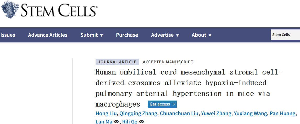 Stems cell | 青海大学高原医学研究中心：人脐带间充质基质细胞源外泌体通过巨噬细胞减轻缺氧诱导的小鼠肺动脉高压
