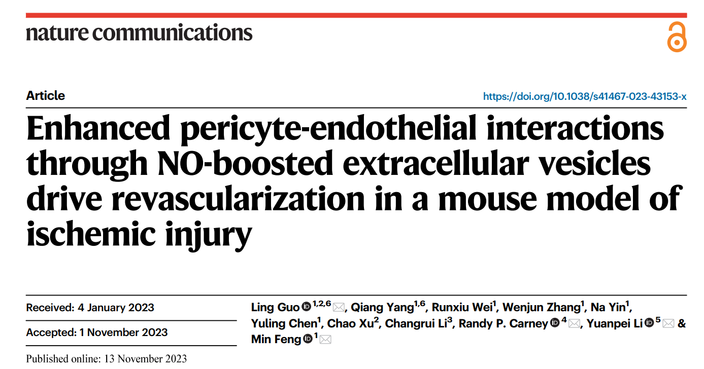 Nat Commun | 冯敏/郭羚科研团队：NO增强型干细胞纳米囊泡驱动细胞对话增效血运重塑