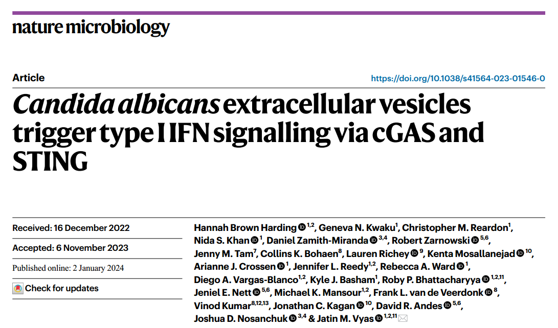 【Nat Microbiol】白色念珠菌EVs通过cGAS和STING触发I型IFN信号传导