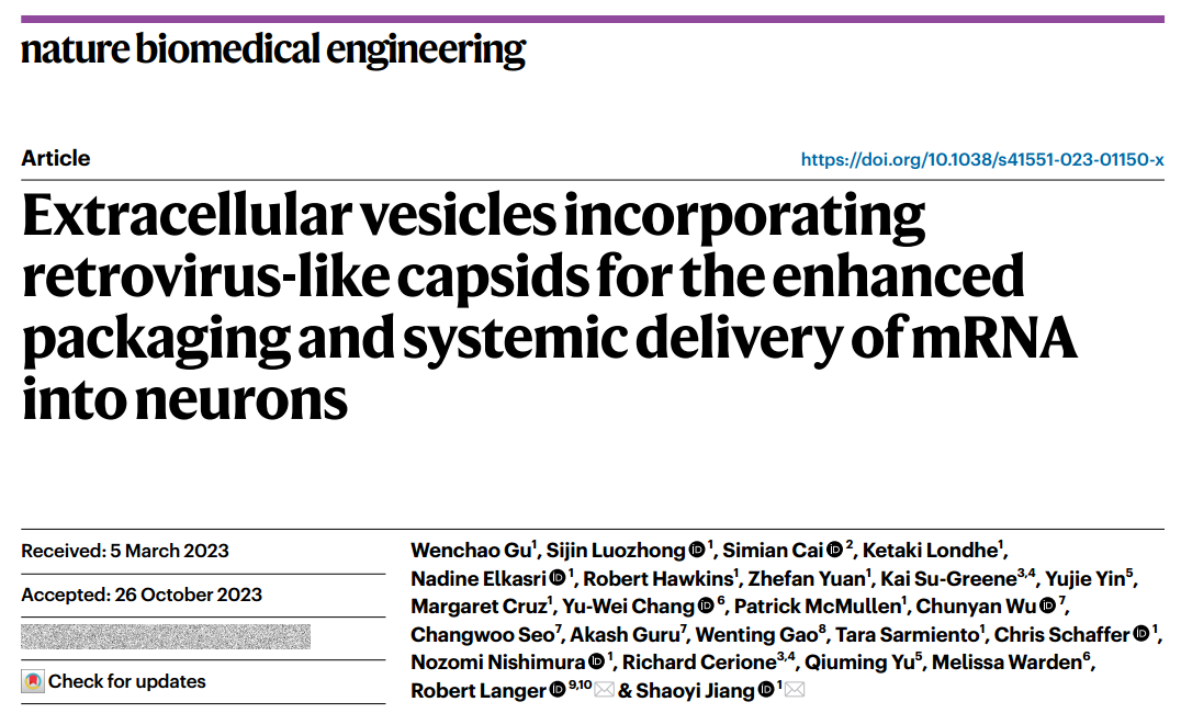 【Nat Biomed Eng】细胞外囊泡整合逆转录病毒样衣壳，用于增强mRNA的包装并系统性递送至神经元中