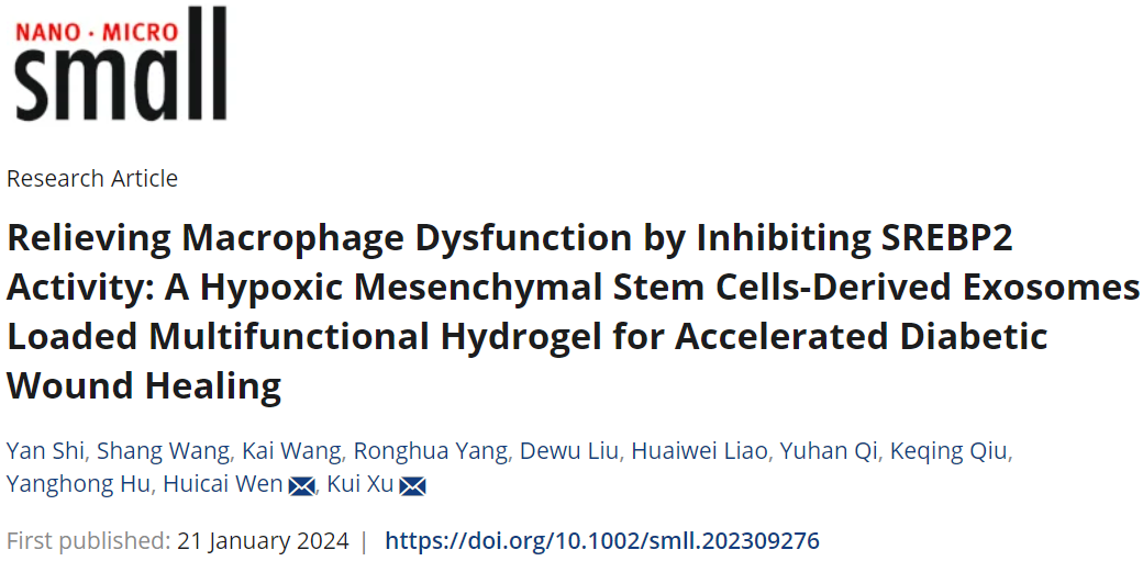 Small|安徽中医药大学徐奎：负载hyBMSC-Exos的多功能水凝胶缓解巨噬细胞功能障碍加速糖尿病伤口愈合