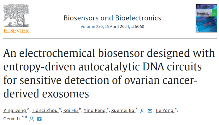 Biosens & Bioelectron│南京大学李根喜/南京市妇幼保健院贾雪梅：熵驱动自催化DNA电路设计及卵巢癌外泌体分析