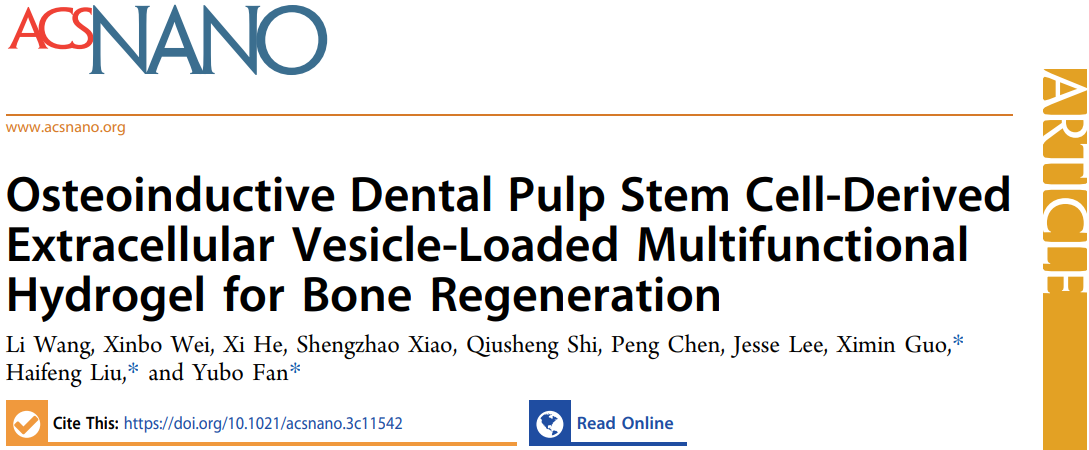 ACS Nano|北航樊瑜波、刘海峰团队和军科院郭希民团队：工程化牙髓间充质干细胞源细胞外囊泡复合多功能水凝胶促进骨再生
