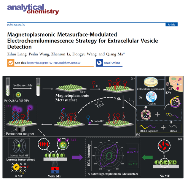 Anal Chem | 吉林大学马强教授团队：磁等离子体超构表面动态调控ECL信号策略用于胃癌小细胞外囊泡的检测研究