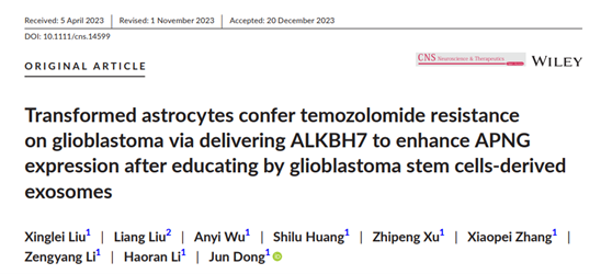 CNS Neurosci Ther | 苏州大学附二院董军教: 胶质瘤干细胞外泌体促进胶质母细胞瘤对化疗药物替莫唑胺的耐药性