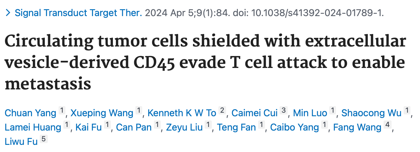 Signal Transduct Target Ther｜中山大学符立梧：循环肿瘤细胞免疫逃逸新发现：CD45伪装的循环肿瘤细胞