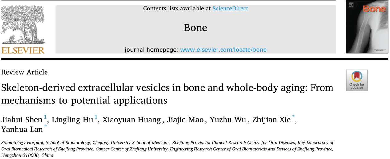 Bone|浙江大学谢志坚/蓝燕华团队：骨骼来源细胞外囊泡在骨骼老化及全身衰老中的新兴角色