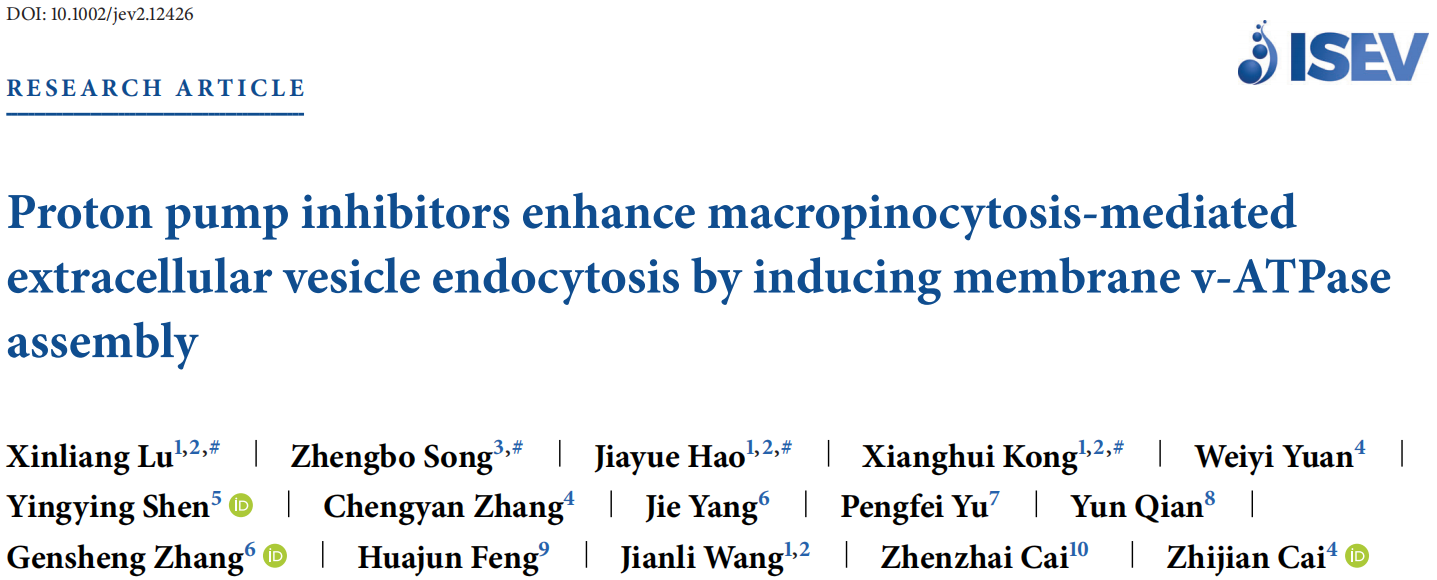 JEV | 浙大蔡志坚/温州医科大蔡振寨/浙大王建莉/浙江农林大学冯华军:揭示质子泵抑制剂可成为调节胞外囊泡功能的潜在药物