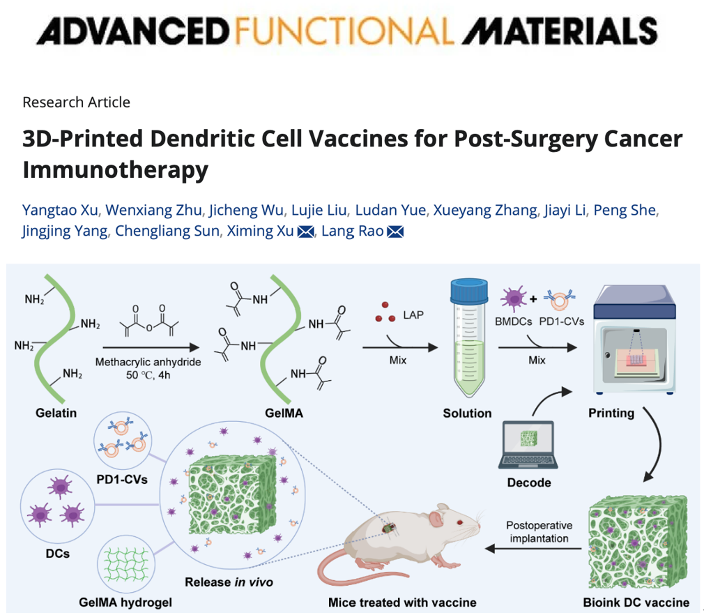 Adv. Funct. Mater∣深圳湾实验室饶浪/武汉大学人民医院徐细明：3D打印DC细胞囊泡疫苗用于肿瘤术后免疫治疗