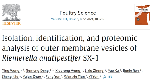 Poultry Science | 山西农业大学动物医学学院王颖团队：鸭疫里默氏菌SX-1外膜囊泡的分离、鉴定和蛋白质组学分析