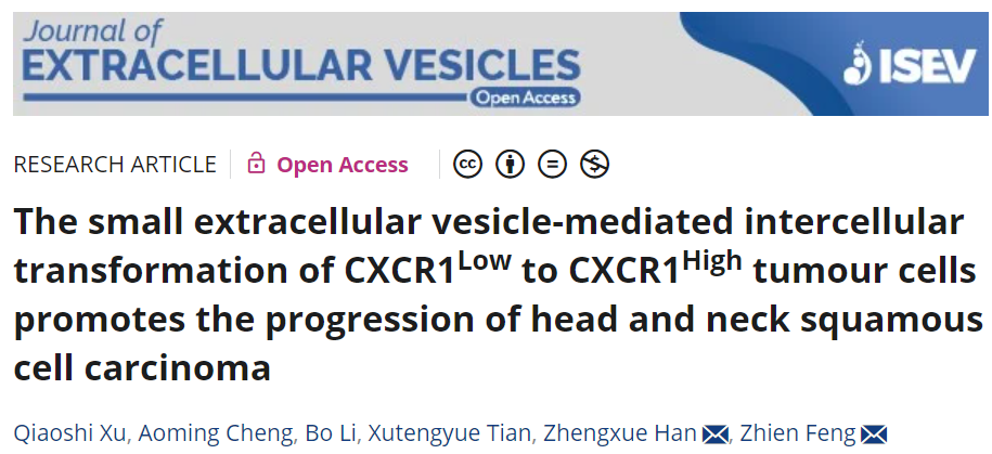 Journal of Extracellular Vesicles：小细胞外囊泡介导头颈鳞癌肿瘤细胞“传染”现象